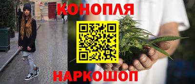 Альфа ПВП Владимир