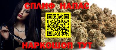 Альфа ПВП Владимир